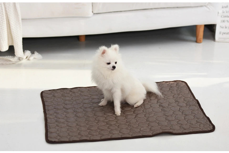 Chilly Ice Mat For Summer