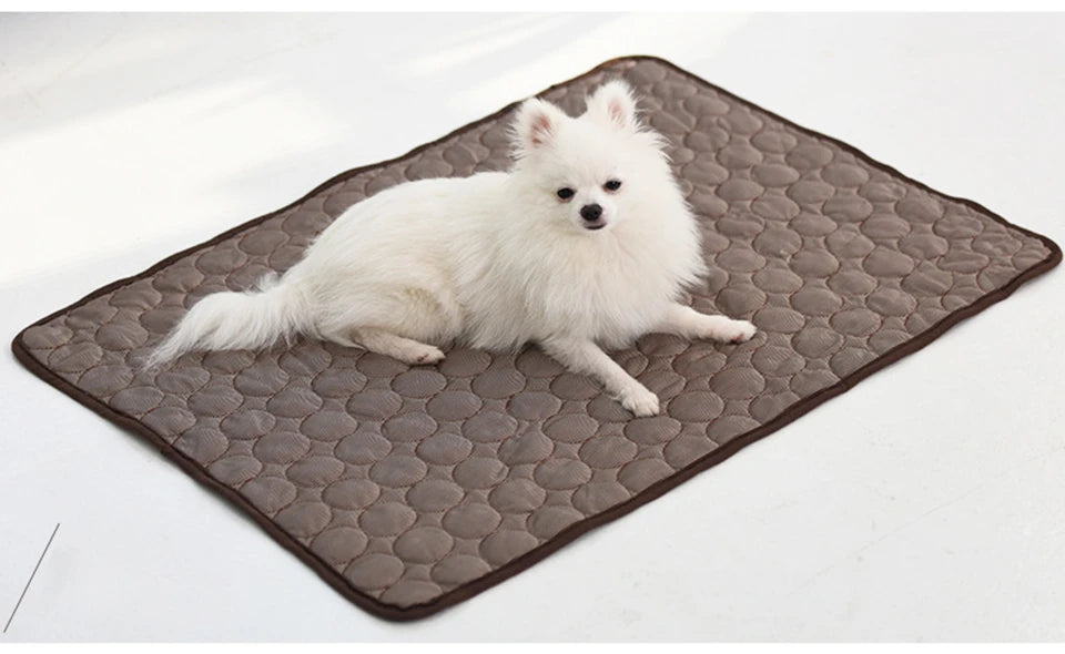 Chilly Ice Mat For Summer