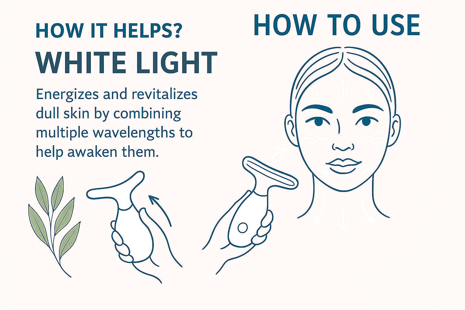 Dolphin —Skin Barrier Glider