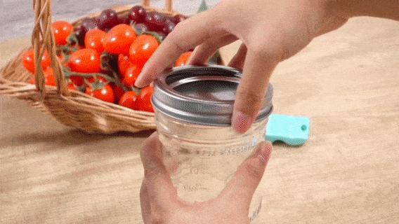Opener For Canning Lids