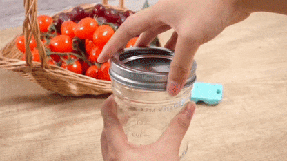 Opener For Canning Lids
